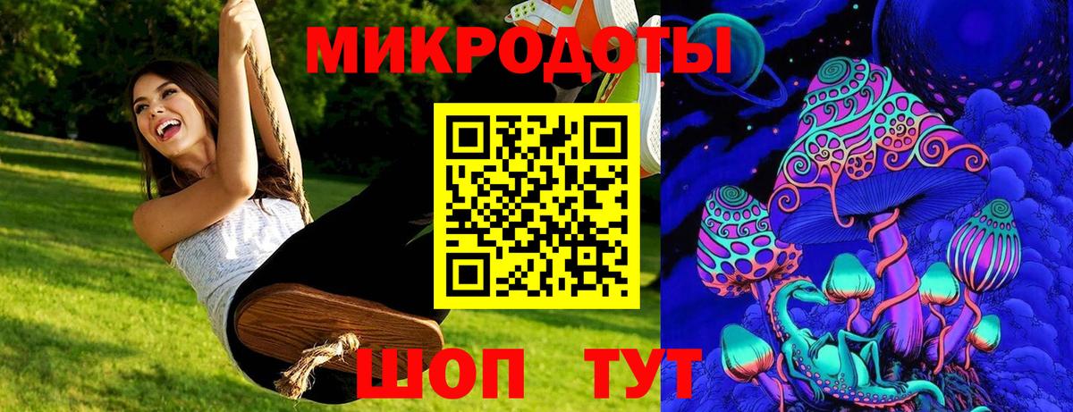Пугачёв  Галлюциногенные грибы Psilocybine cubensis  Вход с VPN 