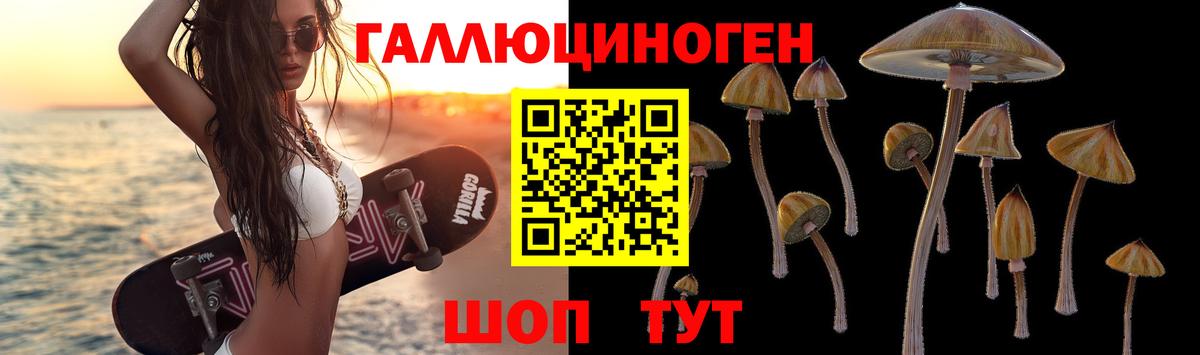 Галлюциногенные грибы прущие грибы Пугачёв